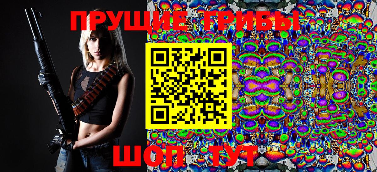 Псилоцибиновые грибы Psilocybe Анжеро-Судженск