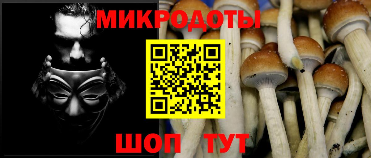 Анжеро-Судженск  Галлюциногенные грибы мухоморы  Вход с VPN  Галлюциногенные грибы Psilocybine cubensis 